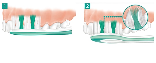 1 & 2. Basic Position of the